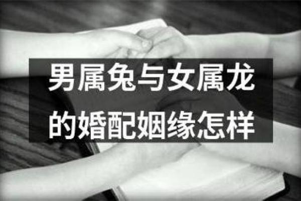 女兔男龙的婚姻：从生肖角度分析两者的契合度