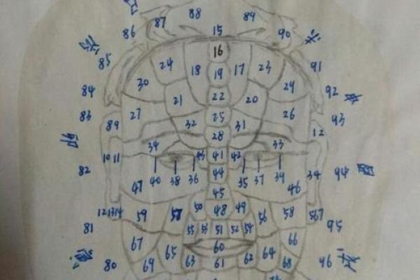面相学中的好色之象：解读面部细节