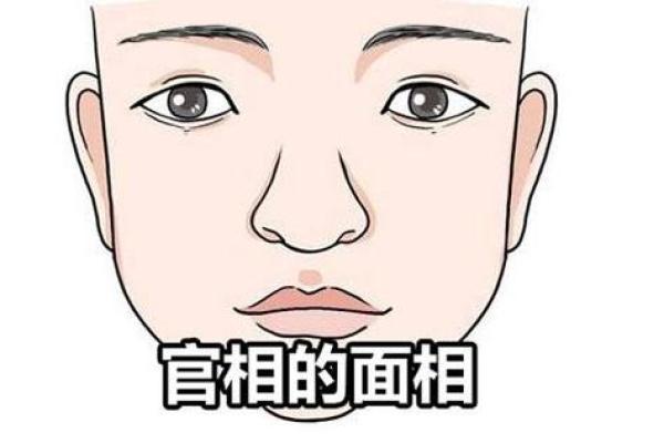 如何通过面相判断一个人是否具有帝王气质