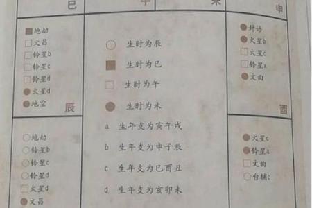 斗数排盘解析与应用技巧