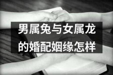 女兔男龙的婚姻：从生肖角度分析两者的契合度