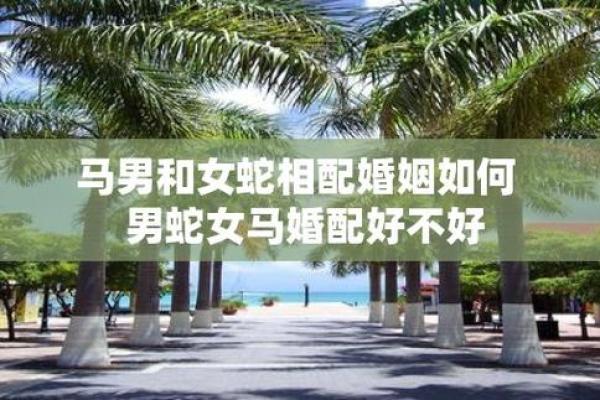 蛇与蛇婚姻配对的性格与命运解析