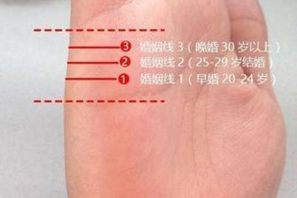 右手手相分析：成功与挑战的暗示