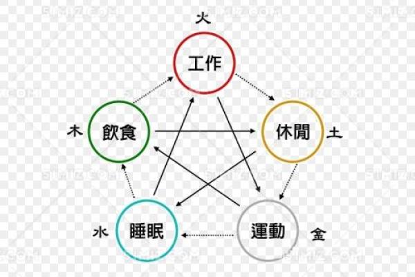 毛字五行属性解析及其在命理中的意义