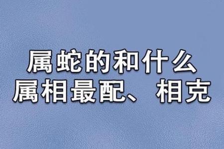 蛇与蛇婚姻配对的性格与命运解析
