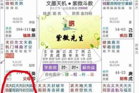 紫微斗数中如何分析事业运势