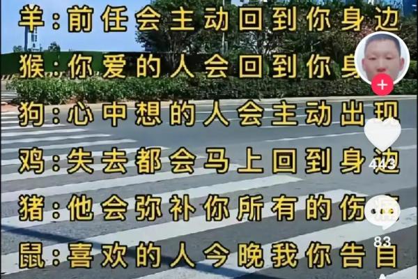 蛇与蛇的婚姻是否长久：两者的爱情与冲突