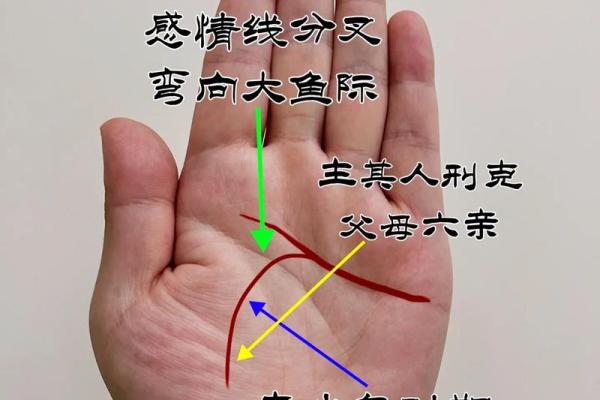 探秘手相学：揭示你手掌中的未来秘密