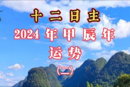出生命理分析与运势发展