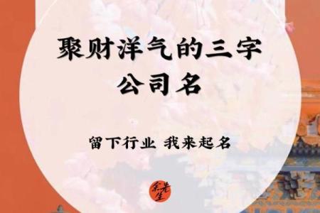 选择公司名字时好字的重要性与技巧解析