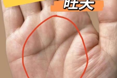 探秘手相学：揭示你手掌中的未来秘密