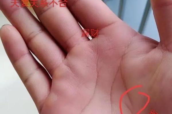 手相梦境揭秘：命运与未来的暗示