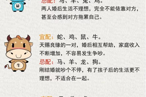 女兔男鼠婚姻配对分析：幸福与挑战并存的关系解析