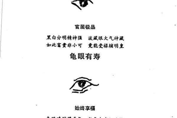 面相与手相的关系：如何通过外貌预测性格和命运