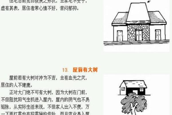 风水阳宅讲座：让你的家居环境助力成功