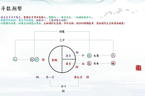 紫微斗数中的五行理论解析