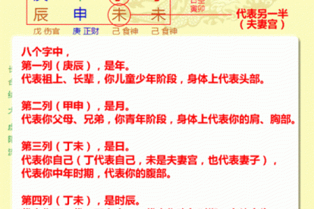 八字排盘技巧与解读方法全面解析