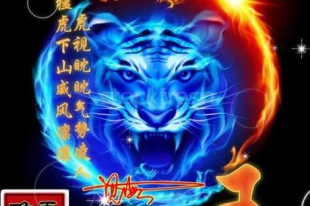 生肖虎与牛的配对分析：冲突与和谐的微妙平衡