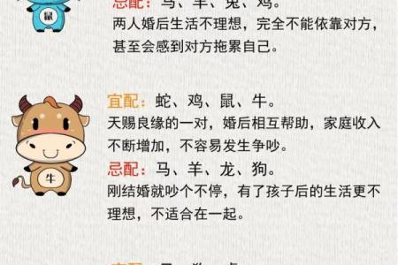 女兔男鼠婚姻配对分析：幸福与挑战并存的关系解析
