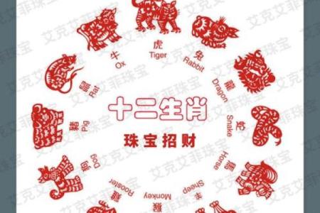 出生的人属兔命运解析