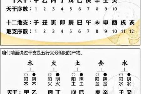 时天干地支推算入门指南
