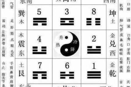 紫微斗数中的五行理论解析