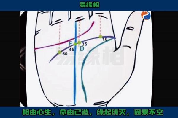 手面相解析：如何通过手掌与面相了解个人命运轨迹