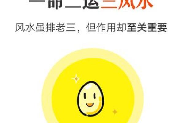 风水与生肖的关系如何影响你的运势解析