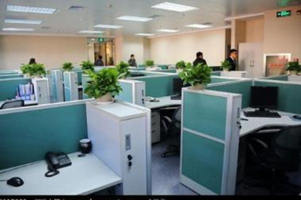 青岛起名公司服务全面，满足各类命名需求