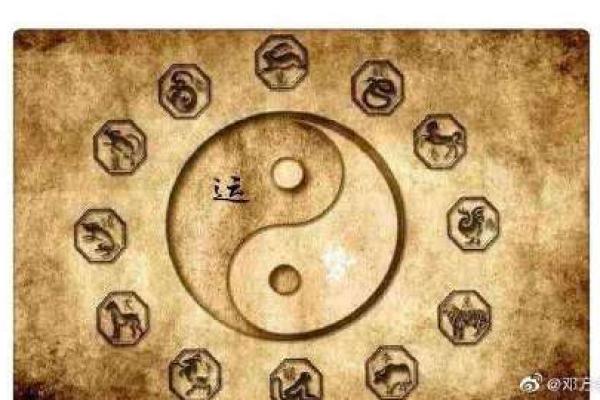 胡可命理与个人运势：如何通过命理改善生活质量