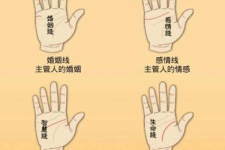 手相识富贵：揭示财富与成功的掌纹密码