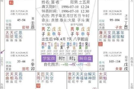 什么是墓命及其在命理学中的重要性