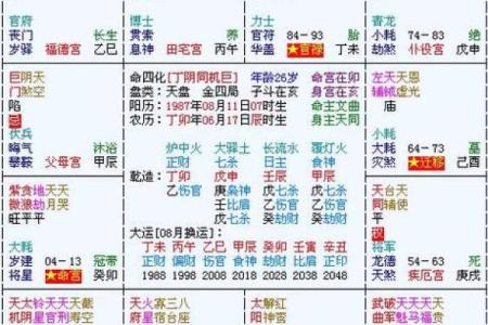 在线紫薇排盘解密个人命运的深层次信息