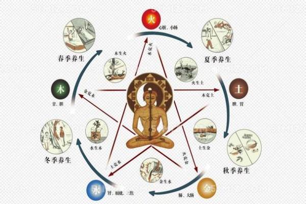 五行概念解析与生活中的实际应用