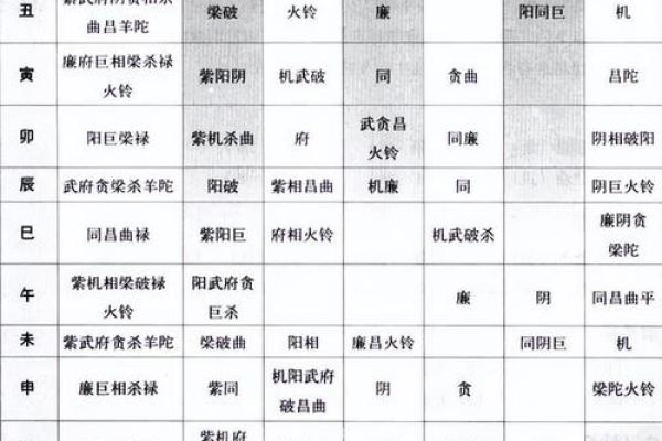 紫微斗数的基础知识与入门指南