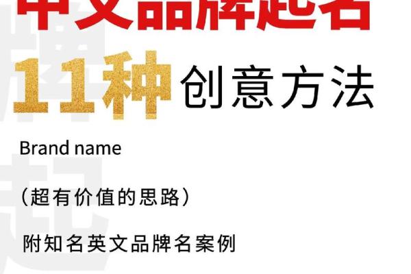 打造独特品牌形象：教育培训公司起名策略