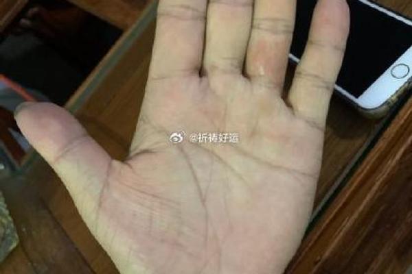 手相智慧眼：了解你的独特人生轨迹