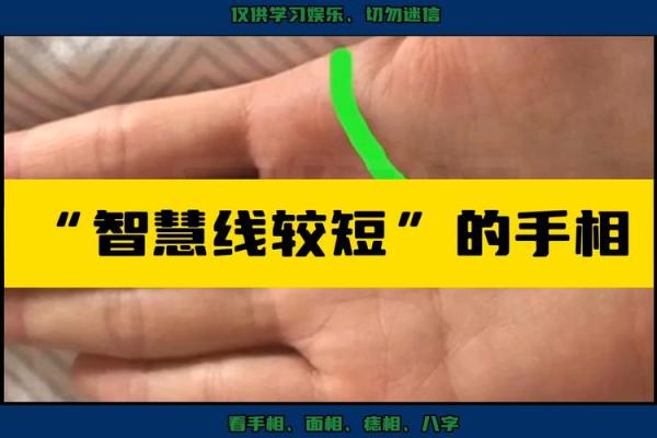 手相智慧眼：了解你的独特人生轨迹