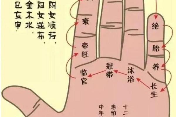 天干地支值解析：揭开传统命理中的神秘面纱