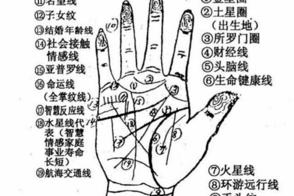易经手相解析图解：通过掌纹看人生运势和性格特征