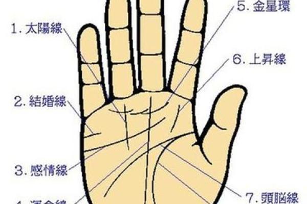 易经手相解析图解：通过掌纹看人生运势和性格特征