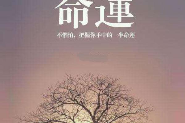 命运的最佳状态是什么样的？