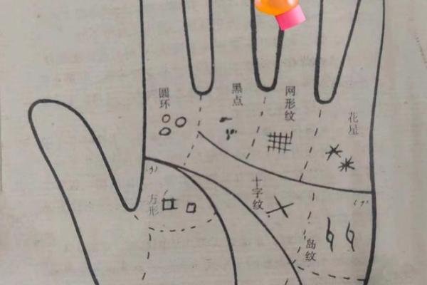 手相中的幸运线解析与命运关联揭秘