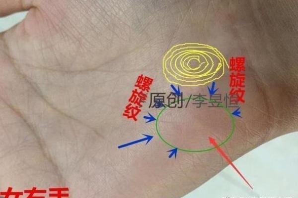 手相中的幸运线解析与命运关联揭秘