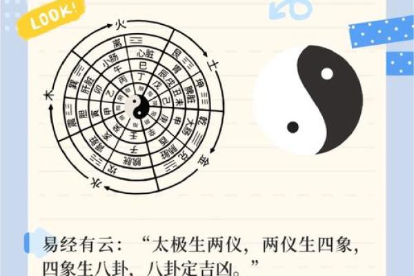 琳的五行属性揭秘与分析