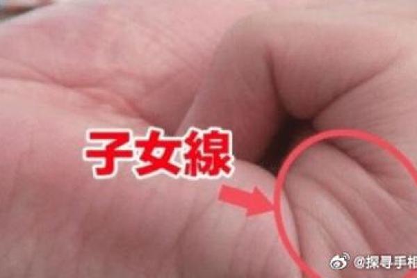 王大有手相解析：揭示你命运的独特密码