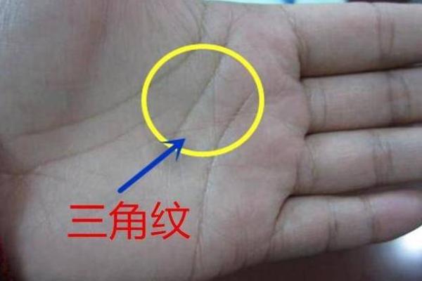 王大有手相解析：揭示你命运的独特密码