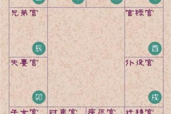 如何通过紫微斗数判断个人适合的生活方式