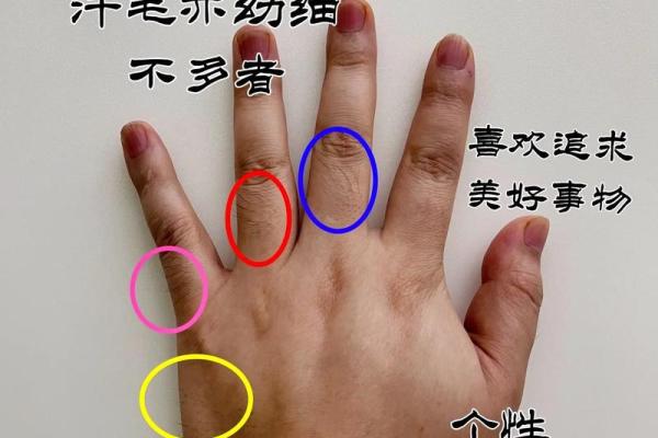 探索手相学在日本的独特发展与文化影响