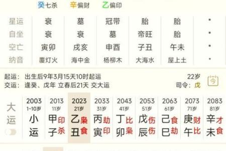 天干地支值解析：揭开传统命理中的神秘面纱